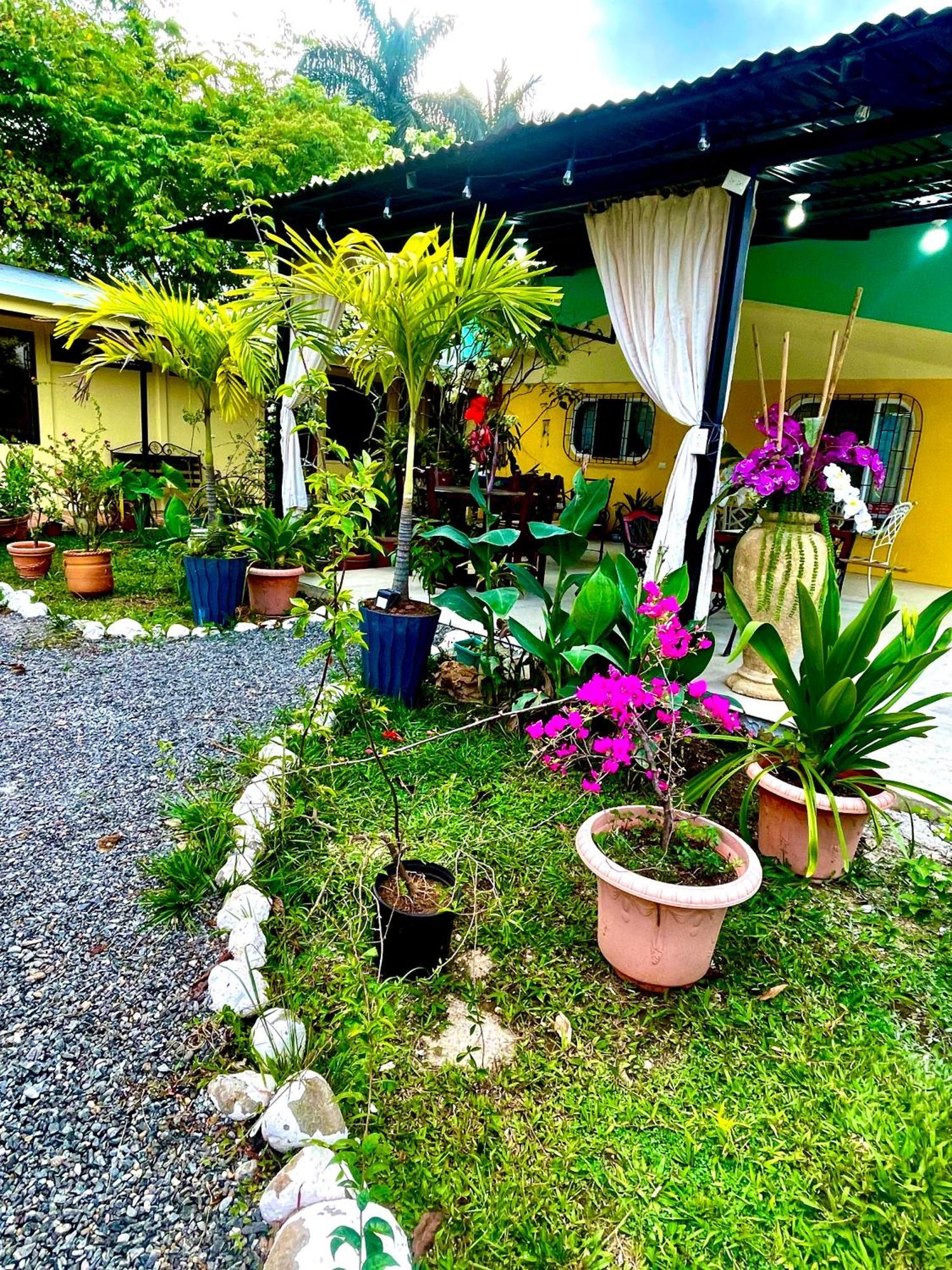 Hotel Tierra De Volcanes La Fortuna Exteriér fotografie